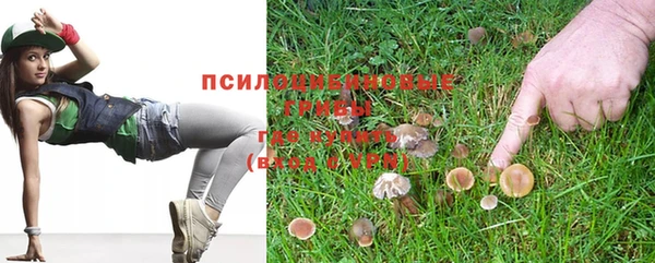 мет Горняк
