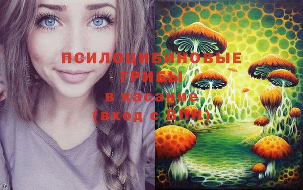 кокаин премиум Дмитриев