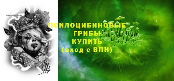 гашик Горнозаводск