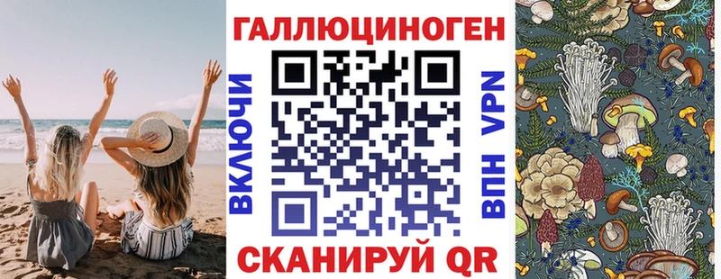 Галлюциногенные грибы Psilocybe  Купить закладки  Спасск-Рязанский 